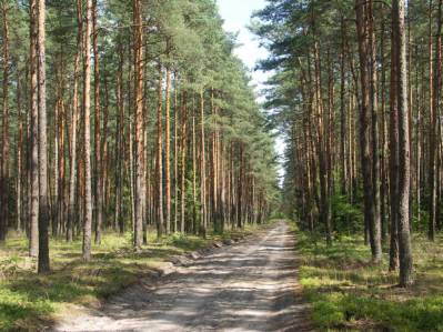 Rowerowo w okolicy Koszęcina
