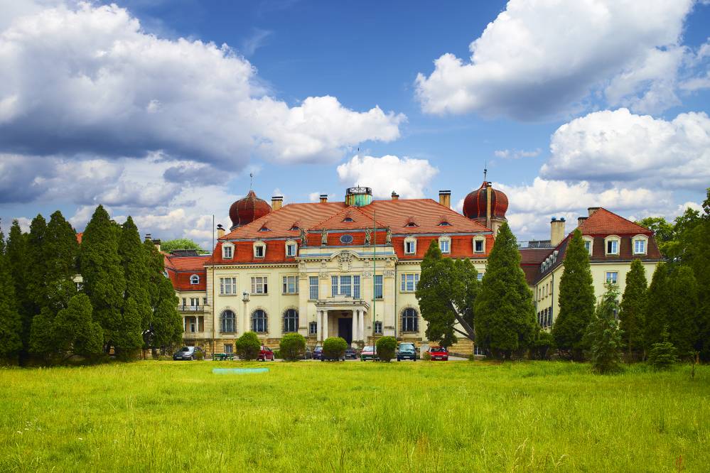 Pałac Donnersmarcków w Brynku