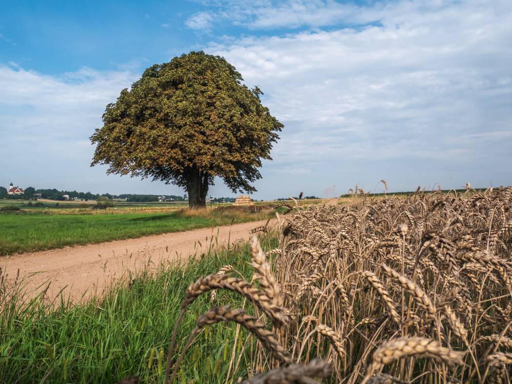 Liswarciański Szlak Rowerowy